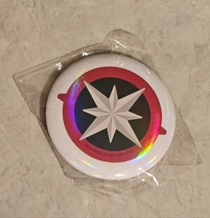 Stray Kids Button Large